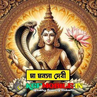 Baisa Jay Jay Re Sonar Lakhindar (Manasa Puja Special Bhakti Humming Lion Bass Mix 2025 - Dj Ananda Remix
